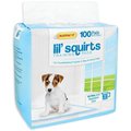 Ruffinit Lil' Squirts Dog Training Pad, 22 in L, 21 in W 82100